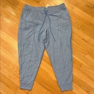 Talbots Light Blue Casual Pants